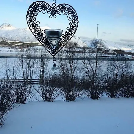 Lofoten Centrally Located Lejlighed