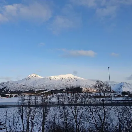 Lofoten Centrally Located Lejlighed