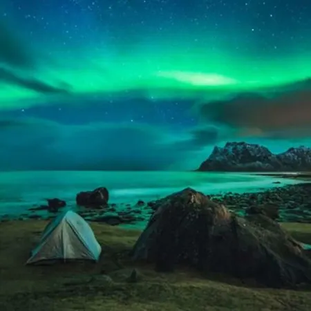 Lofoten Centrally Located Lejlighed *